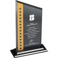 EKT-315 Kristal Plaket  15 x 25 cm