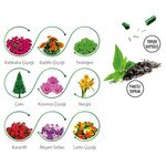 CK-2035 Kapaklı Bitki Dikim Seti  7,6 x 7,6 x 8 cm