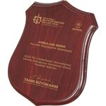 BK-75 Ahşap Plaket  20 x 24 cm