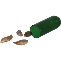 0522-80 Tohumlu Kurşun Kalem  