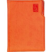 Başakşehir Günlük Ajanda Turuncu 17 x 24 cm