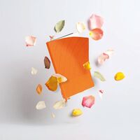 İstinye Tarihsiz Defter Siyah 15,5 x 21,5 cm