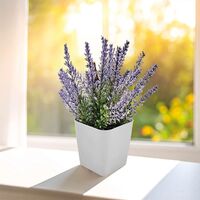 CK-2015 Bitki Yetiştirme Seti  7,5 x 6 x 8,3 cm