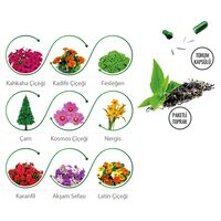 CK-2015 Bitki Yetiştirme Seti  7,5 x 6 x 8,3 cm