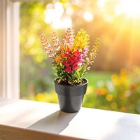 CK-2025 Bitki Yetiştirme Seti  6,5 x 4,2 x 6 cm