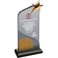 EKT-101 Kristal Plaket  12 x 26 cm