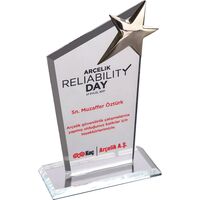 EKT-110 Kristal Plaket Şeffaf 12 x 21 cm