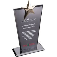 EKT-128 Kristal Plaket Füme 12 x 21 cm