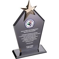 EKT-170 Kristal Plaket Füme 12 x 21 cm