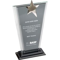 EKT-210 Kristal Plaket  13 x 23 cm