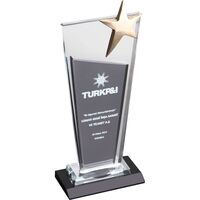 EKT-215 Kristal Plaket  11 x 26 cm