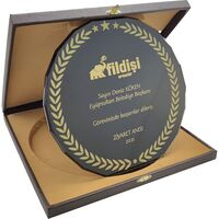 EKT-500 Kutulu Kristal Plaket  25 x 25 cm