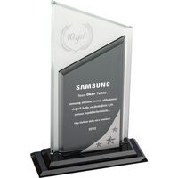 EKT-730 Kristal Plaket  15 x 25 cm