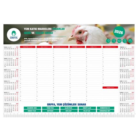 MS-20 Tarihsiz Masa Sümeni  40 x 28 cm