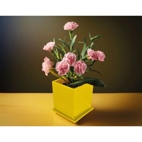 CK-2035 Kapaklı Bitki Dikim Seti  7,6 x 7,6 x 8 cm