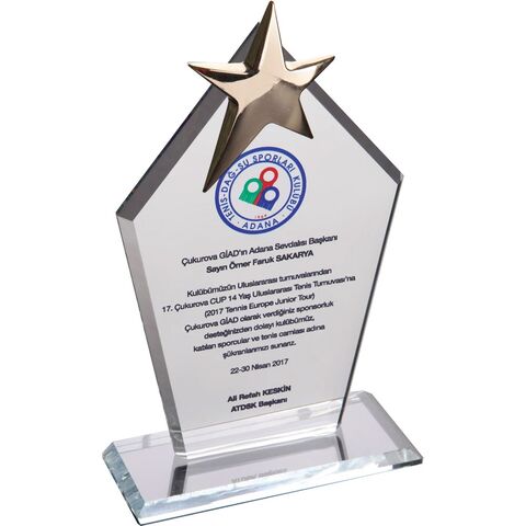 EKT-170 Kristal Plaket Şeffaf 12 x 21 cm