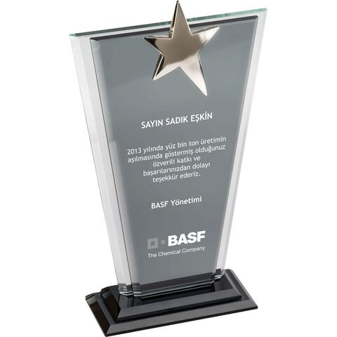 EKT-210 Kristal Plaket  13 x 23 cm